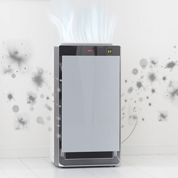 portable air purifier
